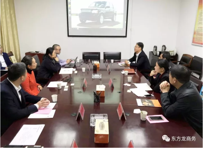 陪同汽車智能系統(tǒng)外資投資選址項(xiàng)目方實(shí)地考察江蘇、安徽多家政府園區(qū)和地方企業(yè)，務(wù)實(shí)推進(jìn)項(xiàng)目合作落地
